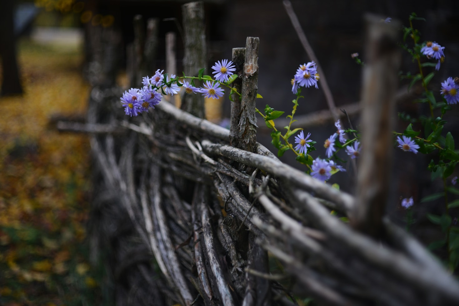Die Kraft authentischer Beziehungen im Alltag